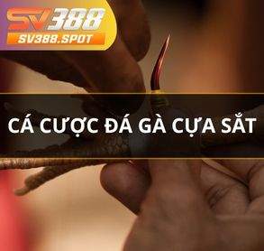 Cá Cược Đá Gà Cựa Sắt - Trò Chơi Được Yêu Thích Nhất SV388