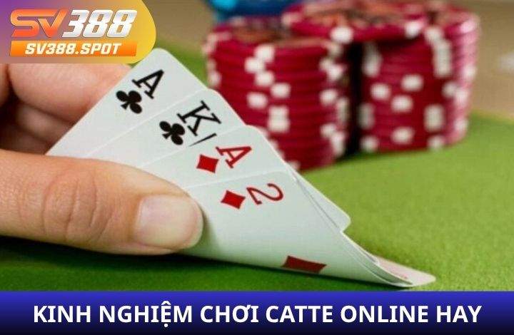 Kinh nghiệm chơi Catte Online hay từ cao thủ
